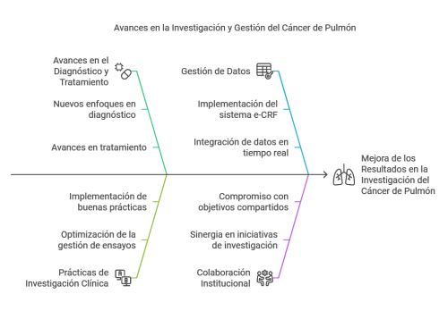 infografía del proyecto