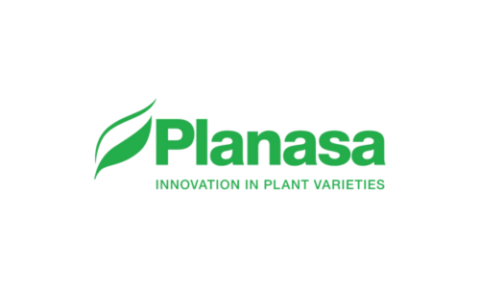 PLANASA-BILBOMATICA-ALTIA