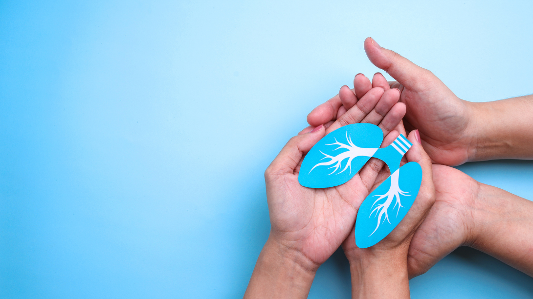Manos sosteniendo unos pulmones de papel